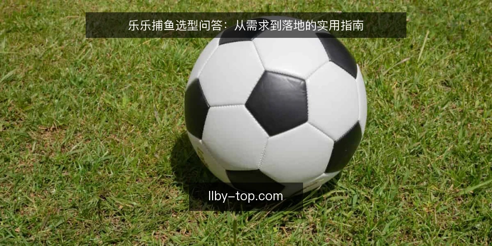 乐乐捕鱼选型问答:从需求到落地的实用指南 — 乐乐捕鱼的核心需求是什么? 配图