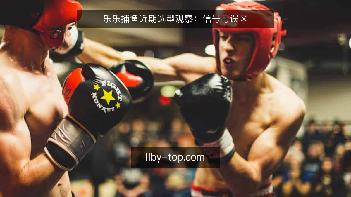 乐乐捕鱼近期选型观察：信号与误区
