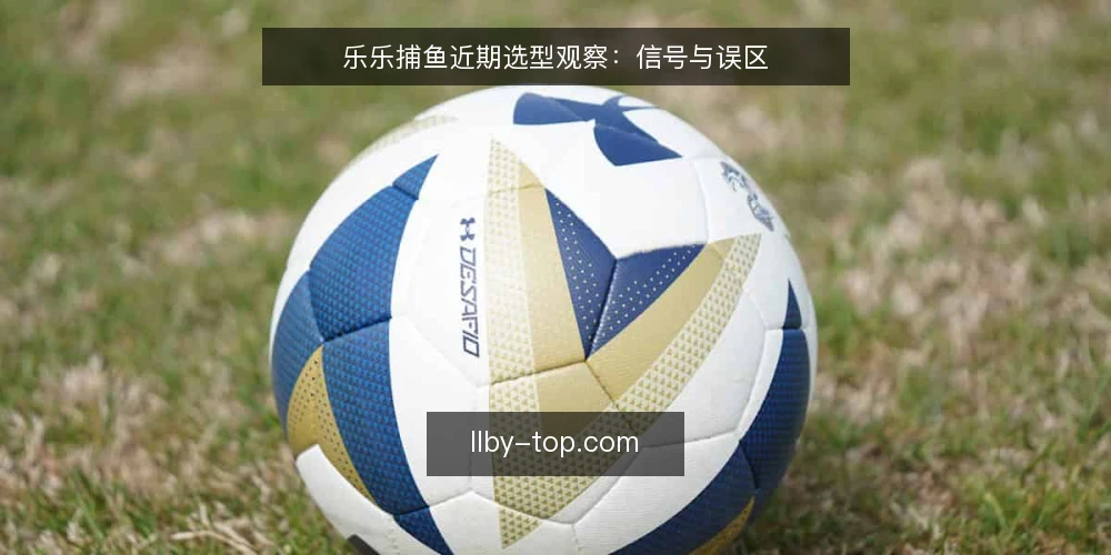 乐乐捕鱼近期选型观察：信号与误区 — 当下选型信号：先看场景再看功能 配图