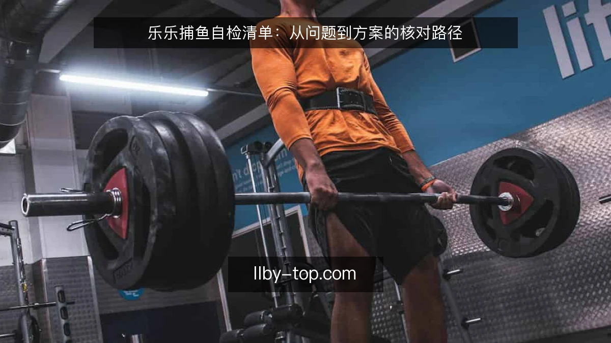 乐乐捕鱼自检清单：从问题到方案的核对路径