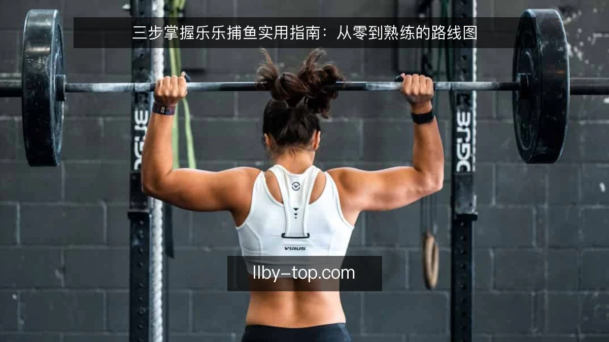 三步掌握乐乐捕鱼实用指南：从零到熟练的路线图