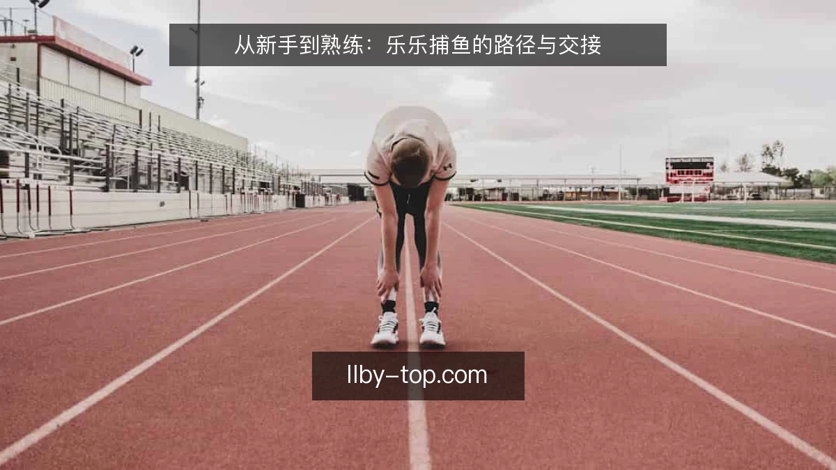 从新手到熟练：乐乐捕鱼的路径与交接