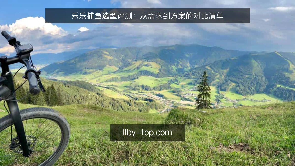 乐乐捕鱼选型评测：从需求到方案的对比清单
