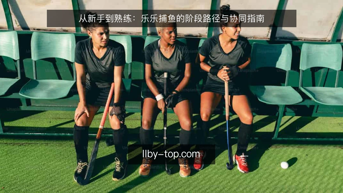 从新手到熟练：乐乐捕鱼的阶段路径与协同指南
