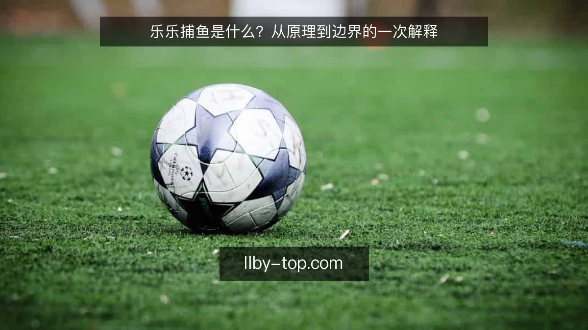 乐乐捕鱼是什么？从原理到边界的一次解释